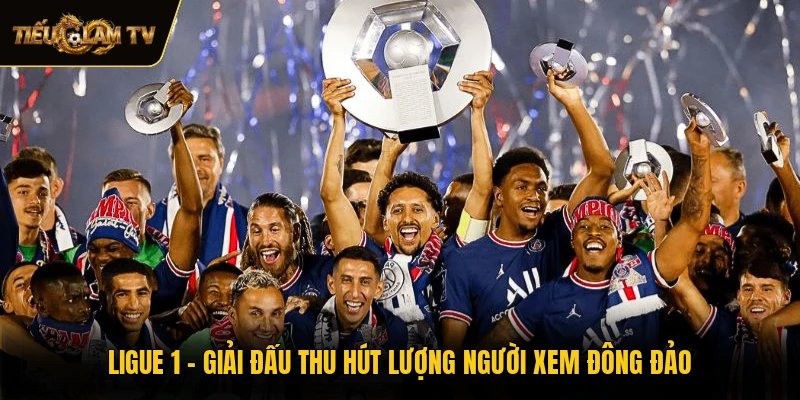 Ligue 1 - Giải Đấu Thu Hút Lượng Người Xem Đông Đảo